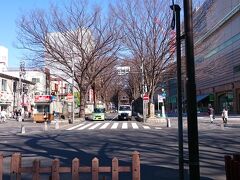 「馬場大門のケヤキ並木」
神社から府中駅方面の表参道に大きなケヤキ並木があります。
康平5年（1062年）、前九年の役平定の際に源頼義・義家父子が、欅の苗千本を寄進したのが起源だそうです。大正13年に日本で2番目の天然記念物として指定されており、ケヤキ並木としては日本で唯一の天然記念物だそうです。