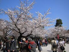 渡月橋を渡って、中州にある嵐山公園へ。
桜がたくさん植えられている公園です。
