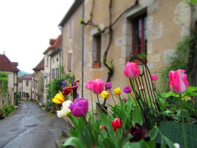 カフェやレストランのある通りもいいけれど<br /><br />