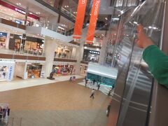 チェックアウト後は、キャンプを再度見に行って、ランチ食べにイオンライカムに行きました。
ここ、広すぎ！
半日は必要です。

指の先に移っているのは、中央にある大きな水槽です。
結構この水槽も楽しめました。
