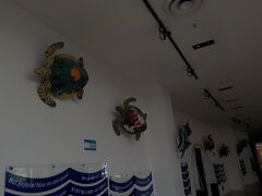 アンダーウォーターワールドの前には亀が飾られています