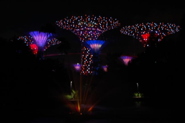 ぎりぎりライトアップに間に合いました。