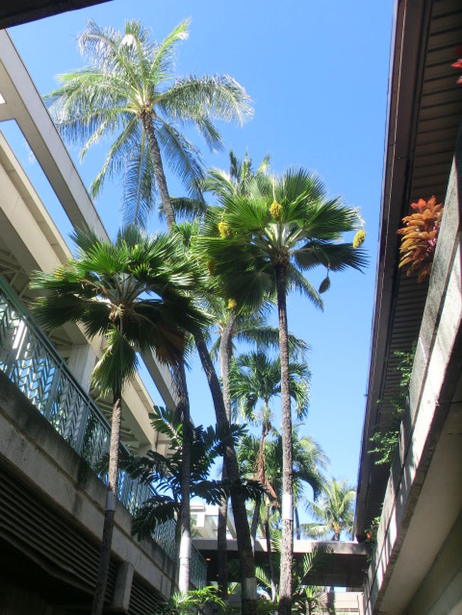 ホノルル空港に到着して１枚。<br />これを見ると、ハワイにきたな〜と痛感します。