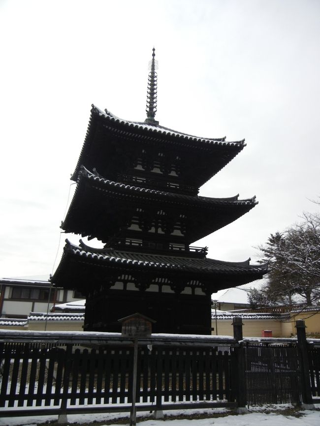 雪の奈良<br />黒と白。