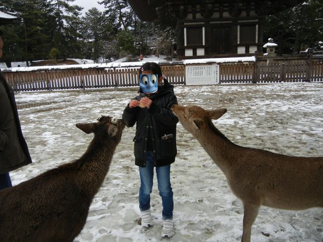 鹿がやってきました。<br />せんべいくれー。