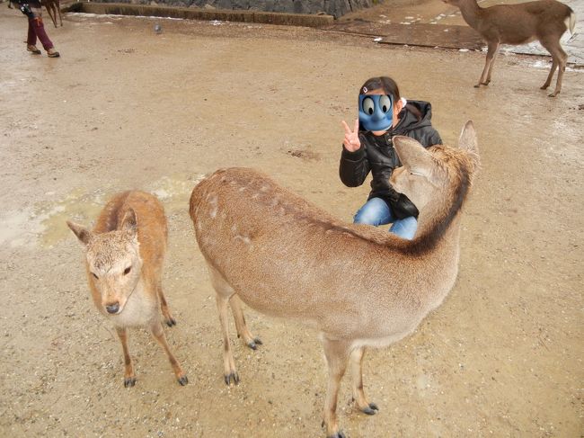 親子でやってきました。<br />せんべいくれー。