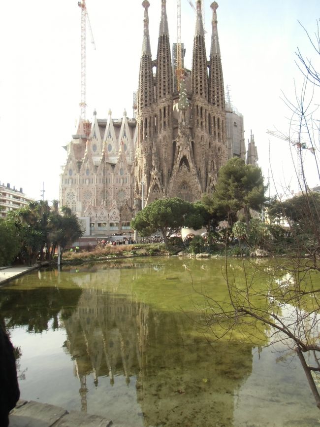 池に映って綺麗です