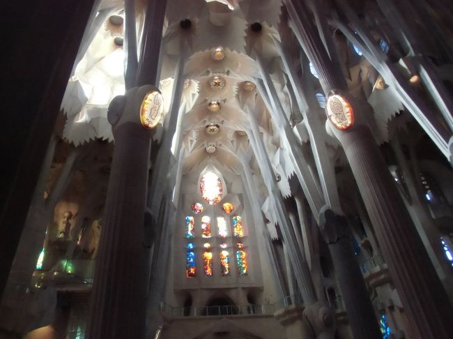 天井もいいですね