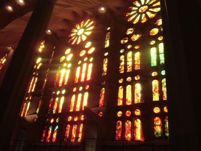 日が当たり綺麗です