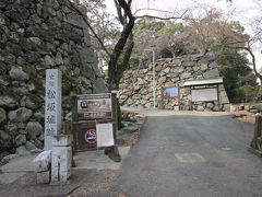 通りを右へ曲がって進めば市役所と「松坂城址」が見えて来ます。

この平山全体が城址ですが、石垣が立派なので驚きです！、では城内を上まで上がってみます。