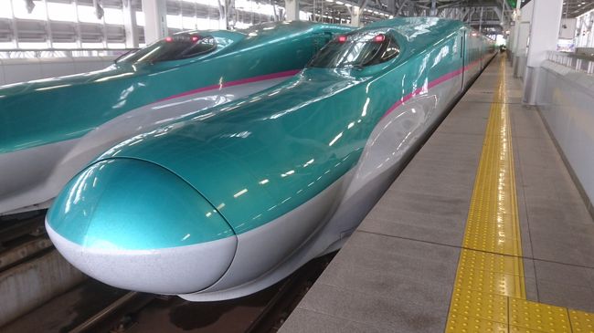 Ｅ５系は長いロングノーズ形状の先頭車両が印象的です。