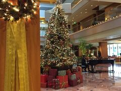 ザ リージェント シンガポール
　私たちがお世話になったホテルです。
　クラシカルで落ち着いた雰囲気。ロビー中央のエレベーターは一目で気に入りました。
　クリスマスツリーもギラギラしすぎず、品があります。