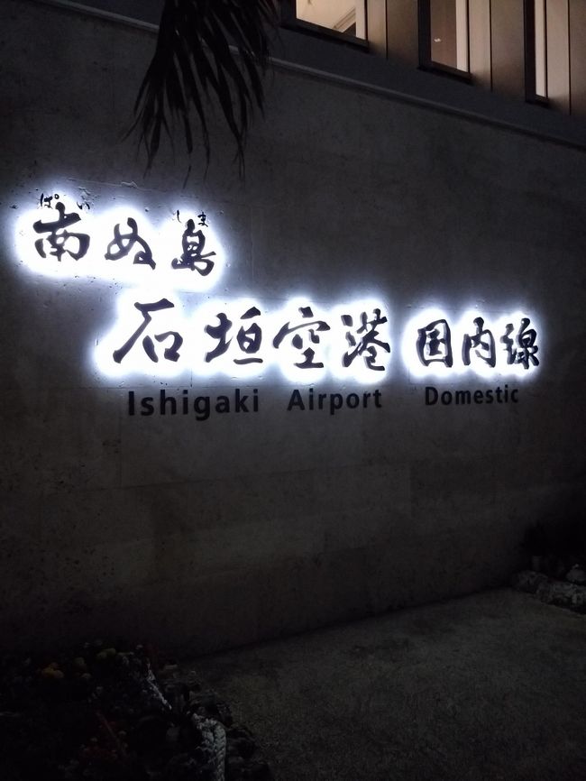 夜の石垣空港に到着