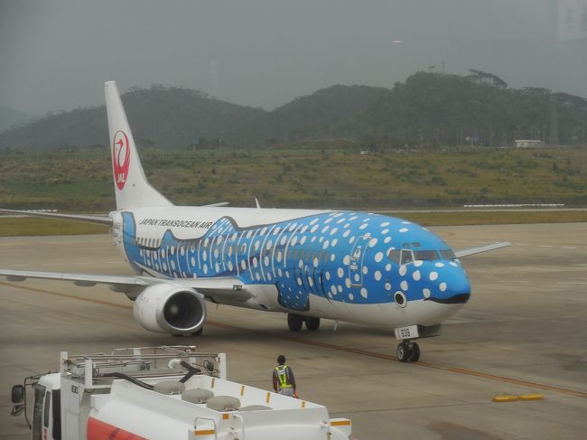 新石垣空港<br /><br />ジンベエザメ