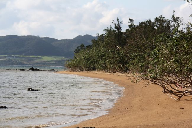 名蔵湾<br /><br />石垣島の最大の湾で、ラムサール条約でも保護されている