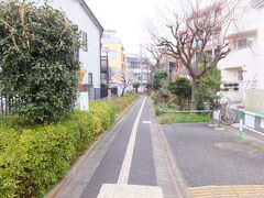 【北沢川緑道 山下橋付近 2016/02/22】

世田谷にある実家に世田谷線山下駅から北沢川緑道を歩いて行きました。