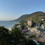 桐のかほり咲楽で河津桜　２日目＜最終日＞