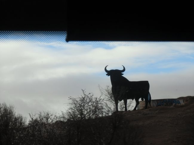 バスの中から　突然の牛<br />これは広告ですが文字はいけないので消して残したそうです