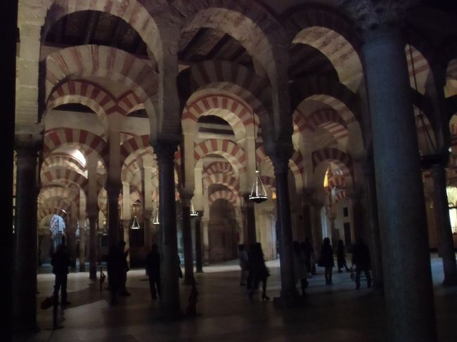 入ってすぐは薄暗い感じでした