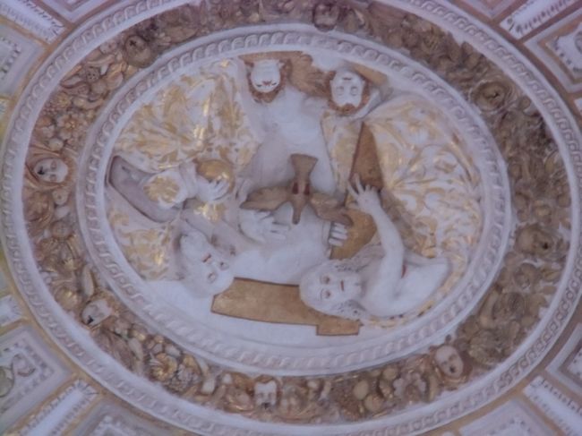 ドーム　鳩がいます