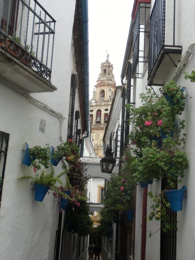 花の小路　ビューポイント<br />常に花を飾っているそうです　