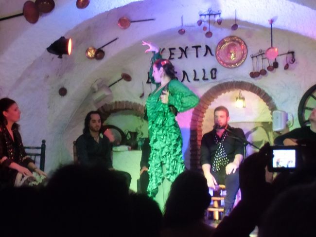 フラメンコショー<br />足元が見えなかったけど　迫力はありました