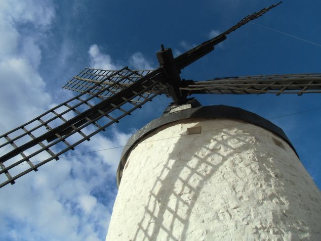 近くで見ると大きいね