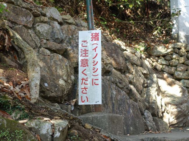 はい、注意します。