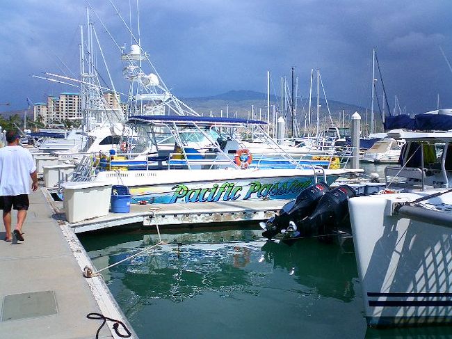 これも前回行った時の数少ない旅行写真２枚です。<br /><br />野生のイルカを見に行くツアー<br /><br />確かイルカを見に行くツアーもマカハ周辺が多いと思います。