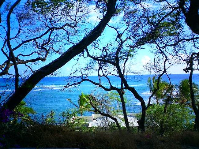 見辛い"(-""-)"<br />たしかトローリーから撮った写真かな？