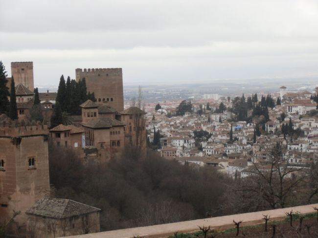 ヘネラリフェ庭園から見るグラダナの街