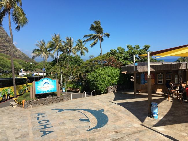 Sea Life Parkで折り返し！！