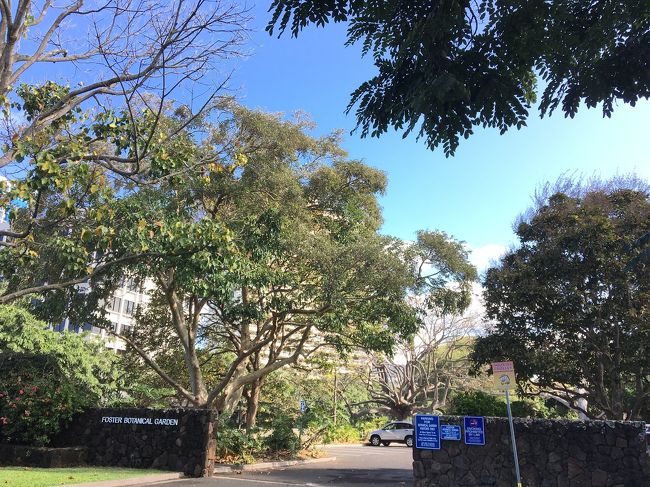 まずは、『フォスター植物園』で下車。