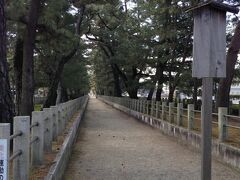 大和路快速で法隆寺駅へ。
寺までバスで約8分。法隆寺前で降り参道を歩いていきます。
