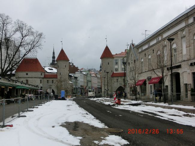 旧市街のメインストリート、ヴィル通りにはこのヴィル門から入る。<br />タリンはエストニア語で「デンマーク人の城」を意味し、歴史地区は１３世紀に作られた。