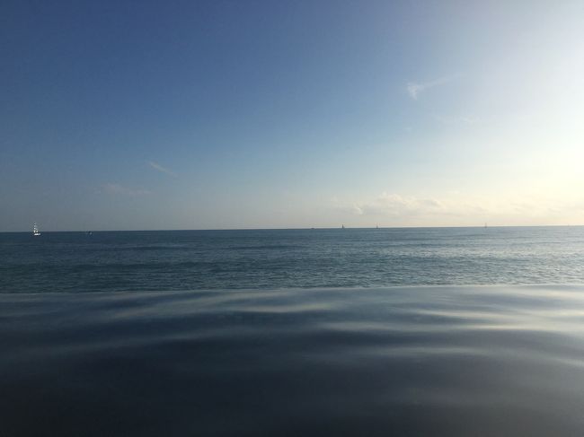 これー！これ！これ！！