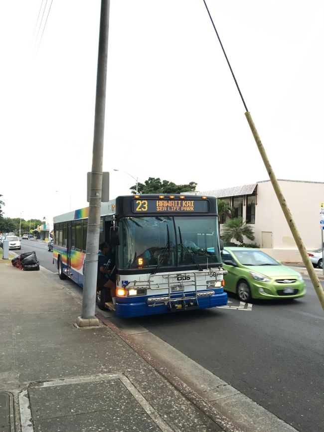 またまたTHE BUSに乗って。