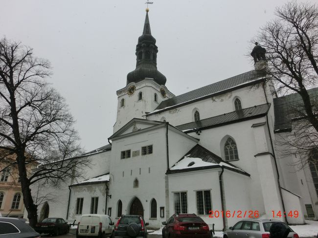 大聖堂。１２１９年、デンマーク人がトームペアを攻略して建設した、エストニア本土では最古の教会。