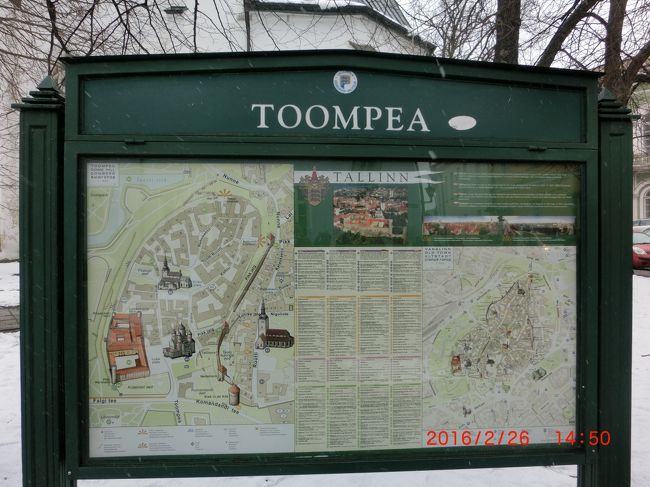 トームペアの丘は公園のようだ。