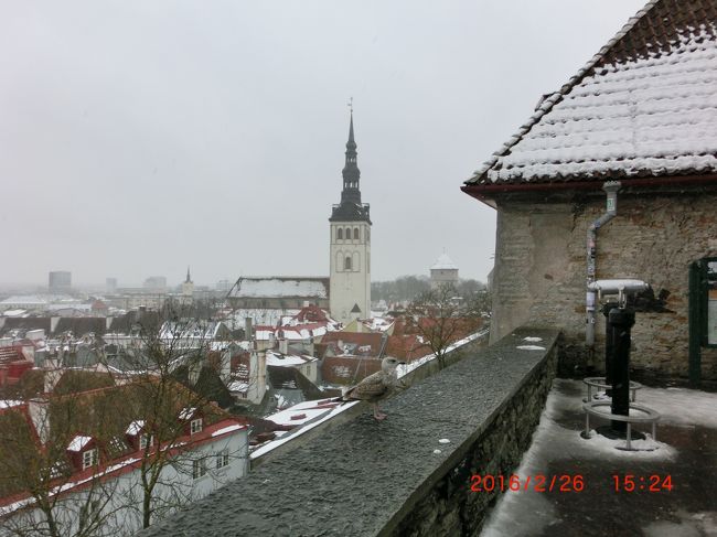 聖ニコラス教会を遠望。<br />船乗りの守護聖人ニコラスに捧げられ、１３世紀前半にドイツ商人居住区の中心に建てられた。どうりでカモメが飛んできた。見えますか？<br />１９４４年、ソ連の空襲で破壊されたため、オリジナルの内装は残っていない。今は博物館とパイプオルガンのコンサートなどに利用されている。<br />