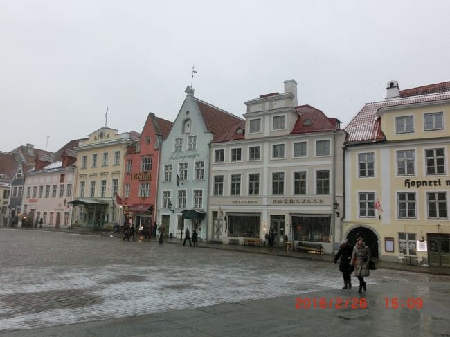 ピロシキの店はこのラエコヤ広場の一角にあった。