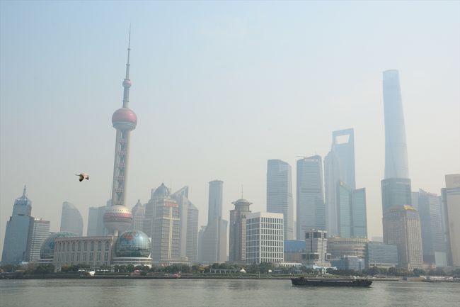 観光客が結構いました。その間から撮影(笑)