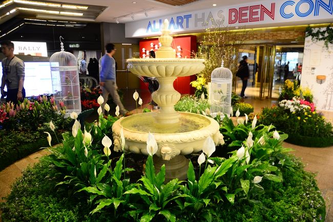 いきなり花園…(*´▽｀*)<br /><br />鳥かごには本当に鳥が入っていて、素敵な鳴き声がしていました。