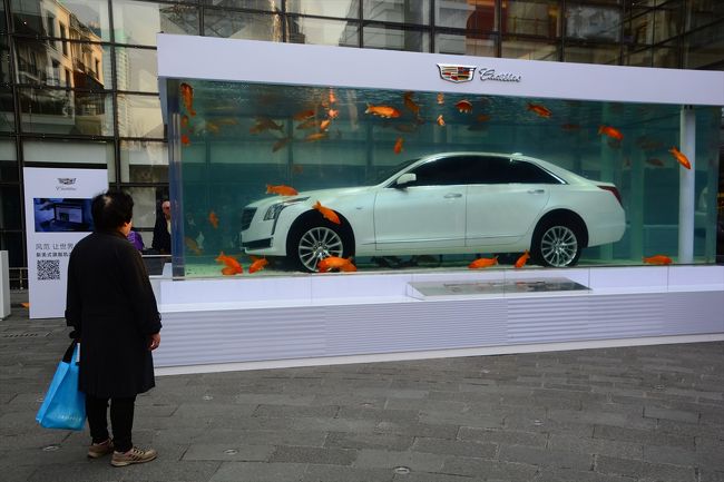 おばあちゃんボーゼン。<br /><br />かなり長い間固まってました(^^;)