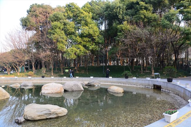 ○　太平橋公園<br /><br />白玉蘭の花咲いているかな？と期待していきました♪