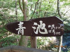 国道を外れて、とんでもない細い山道を超え、やっとたどり着いたぞ
十二湖、青池！！