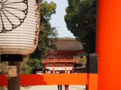 「銀閣寺道」から「出町柳駅前」までバスで移動し、そこからはぶらぶら歩いてやってきました。下鴨神社です。