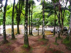 ここは『美しい小道(Escada Bonita)』といわれるジョインヴィレの自然公園。