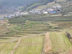 鬼木の棚田です。日本の棚田百選のひとつ

下の方は水田、上は茶畑になっています。