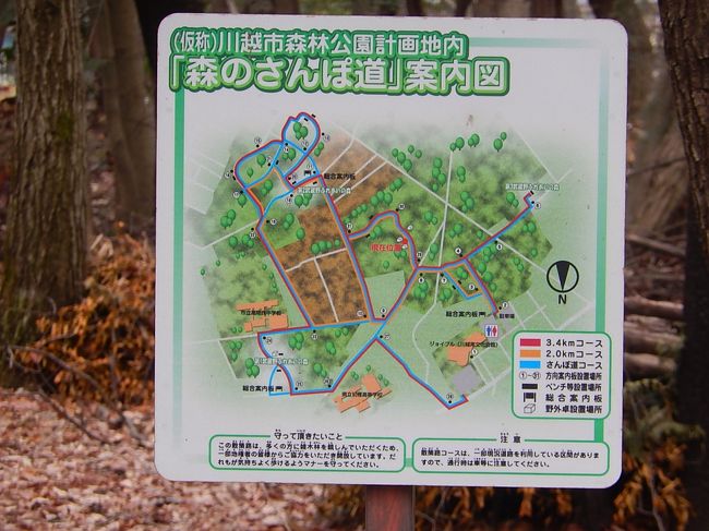 森のさんぽ道 仮 川越森林公園 を歩く 川越 埼玉県 の旅行記 ブログ By Tsunetaさん フォートラベル